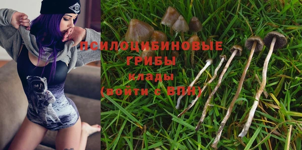гидра Лагань