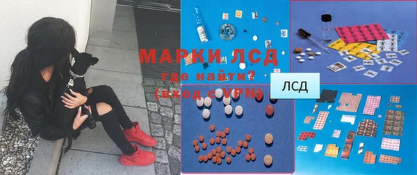 бошки Лабытнанги